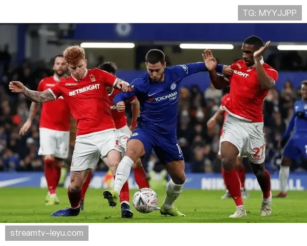 埃弗顿伤病潮雪上加霜，主力缺阵拖累球队复苏进程