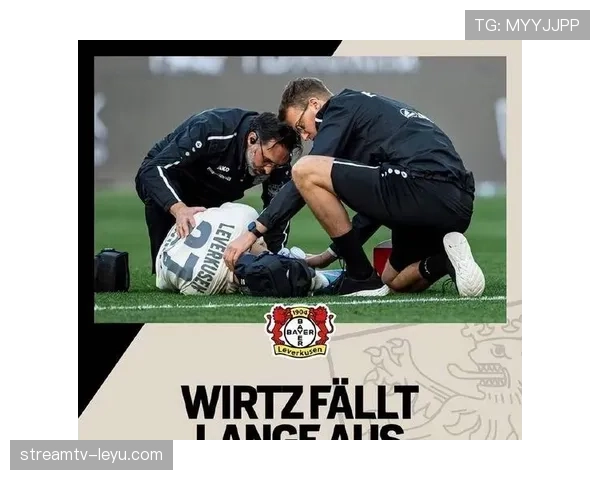 维尔茨重伤后状态恢复程度如何体现 维尔茨重伤后状态恢复程度如何体现